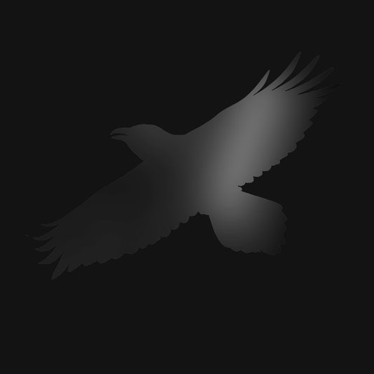 SIGUR ROS - Odin's Raven Magic (Vinyle)