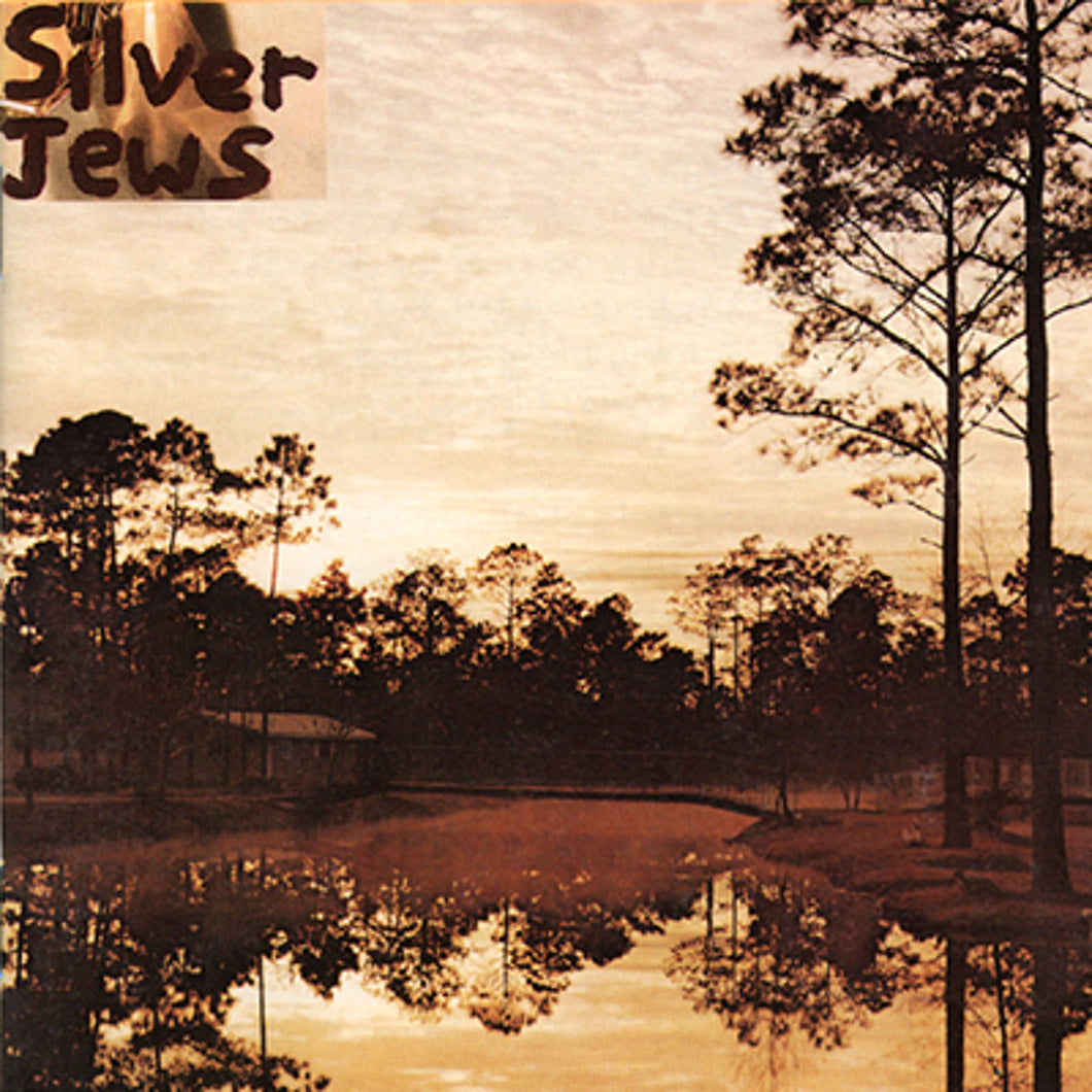 SILVER JEWS - Starlite Walker (Vinyle) - Drag City