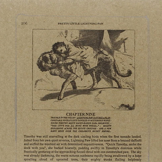 THEE SILVER MOUNTAIN REVERIES - Pretty Little Lightning Paw EP (Vinyle)