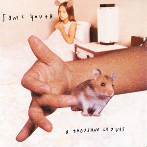 SONIC YOUTH - A Thousand Leaves (Vinyle)