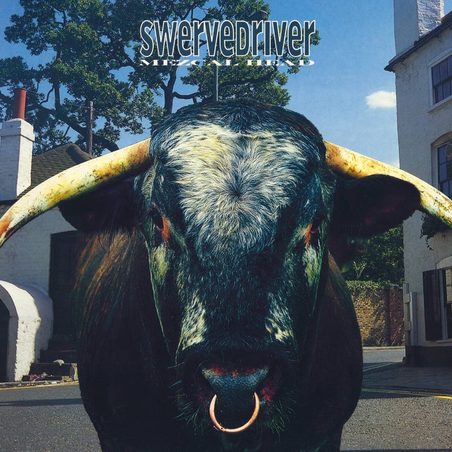 SWERVEDRIVER - Mezcal Head (Vinyle)