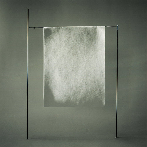 SYLVAIN CHAUVEAU - Simple (Vinyle)