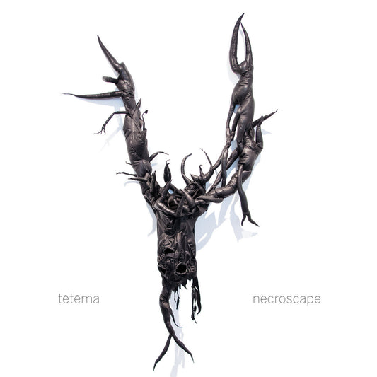 TETEMA - Necroscape (Vinyle) - Ipecac