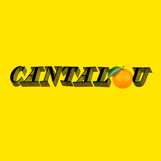 THIERRY LAROSE - Cantalou (Vinyle)