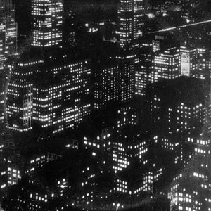 TIMBER TIMBRE - Sincerely, Future Pollution (Vinyle) - City Slang