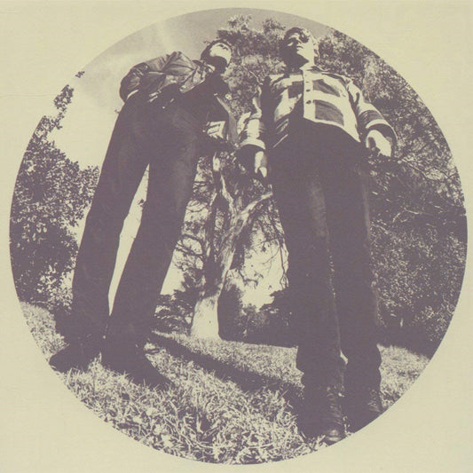 TY SEGALL & WHITE FENCE - Hair (Vinyle)