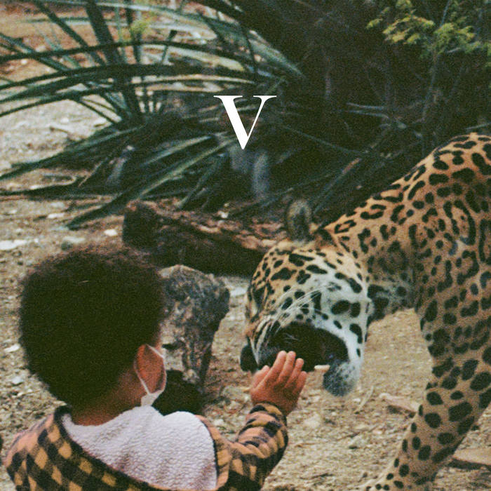 UNKNOWN MORTAL ORCHESTRA - V (Vinyle)