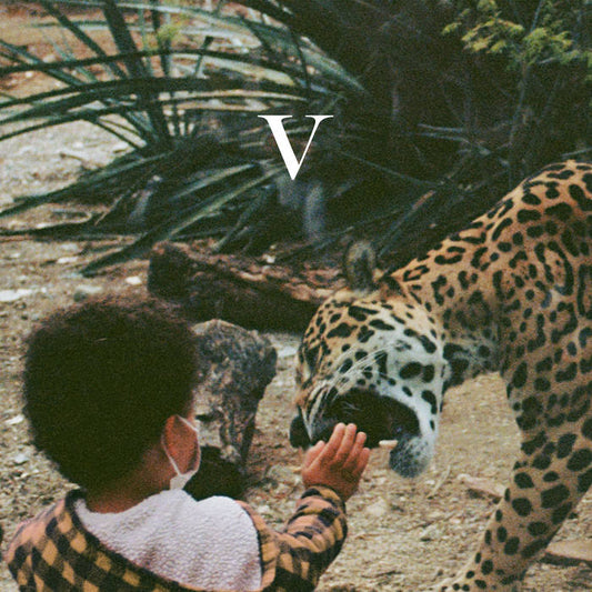 UNKNOWN MORTAL ORCHESTRA - V (Vinyle)