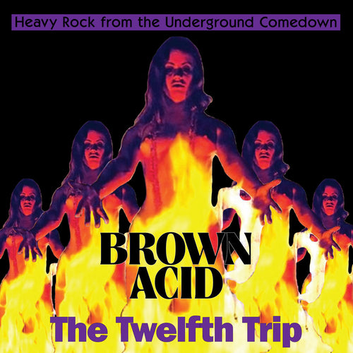 ARTISTES VARIÉS - Brown Acid : The Twelfth Trip (Vinyle)