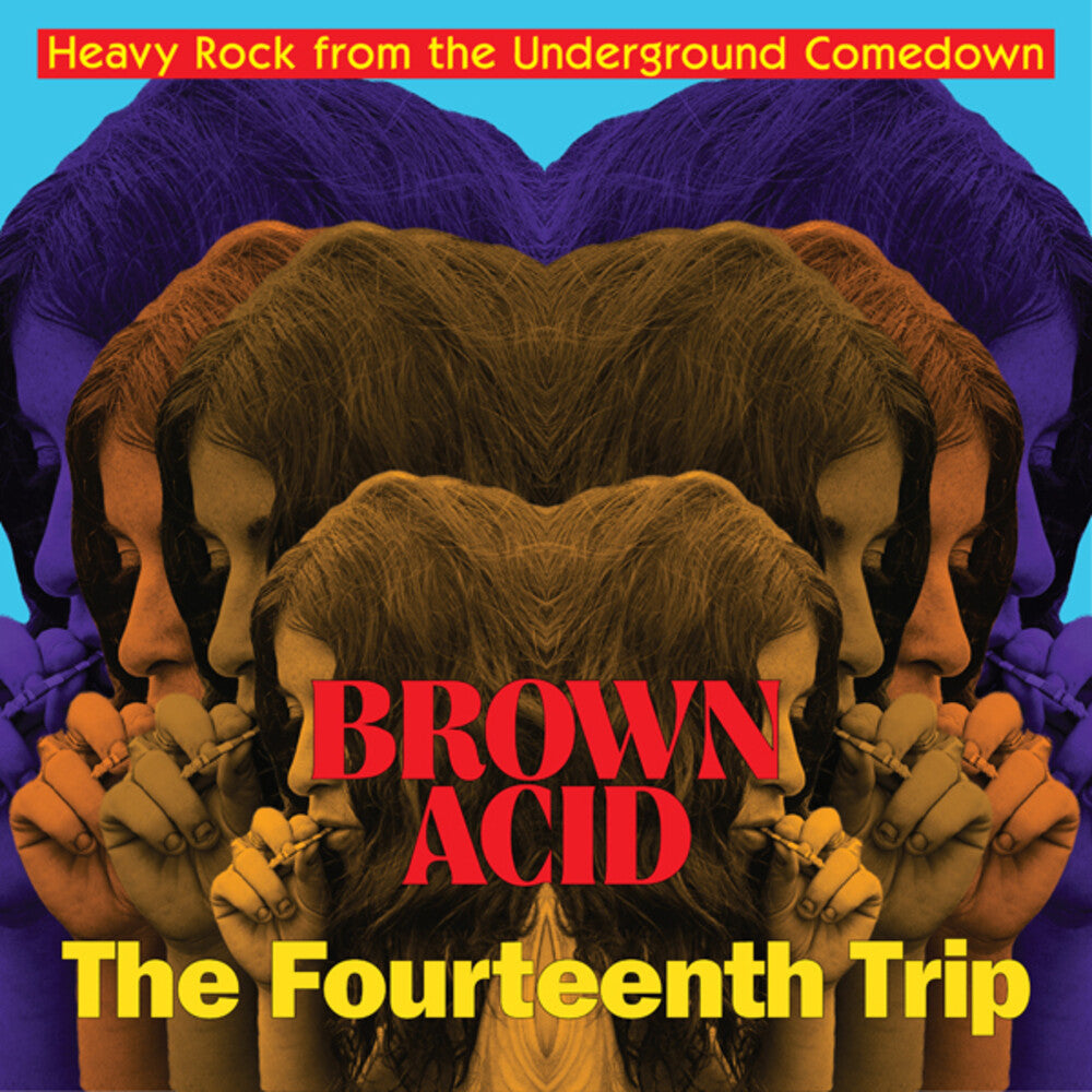 ARTISTES VARIÉS - Brown Acid : The Fourteenth Trip (Vinyle)