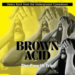 ARTISTES VARIÉS - Brown Acid : The Fourth Trip (Vinyle)