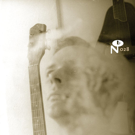 ARTISTES VARIÉS - Wayfaring Strangers: Lonesome Heroes (Vinyle)
