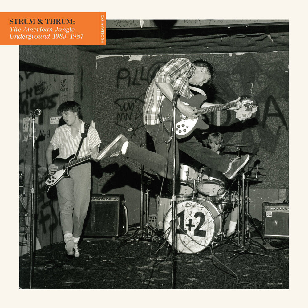 ARTISTES VARIÉS - Strum & Thrum: The American Jangle Underground 1983-1987 (Vinyle)