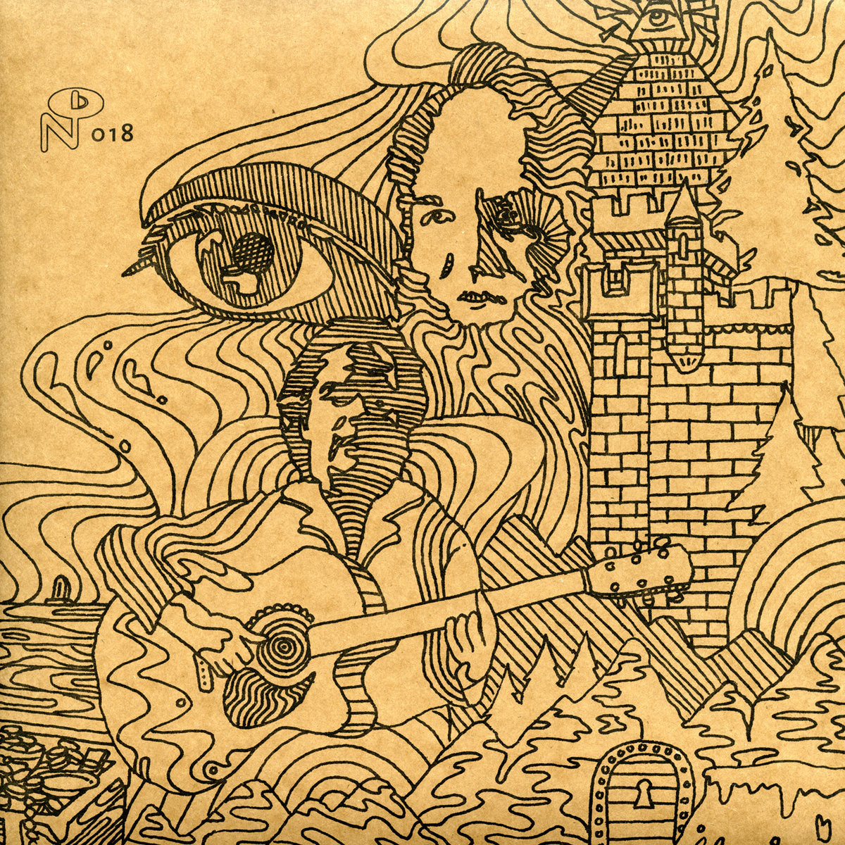 ARTISTES VARIÉS - Wayfaring Strangers : Guitar Soli (Vinyle)