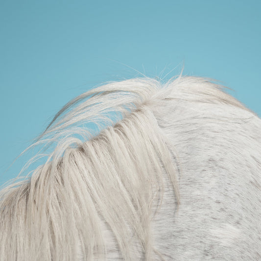 WIDOWSPEAK - All Yours (Vinyle)