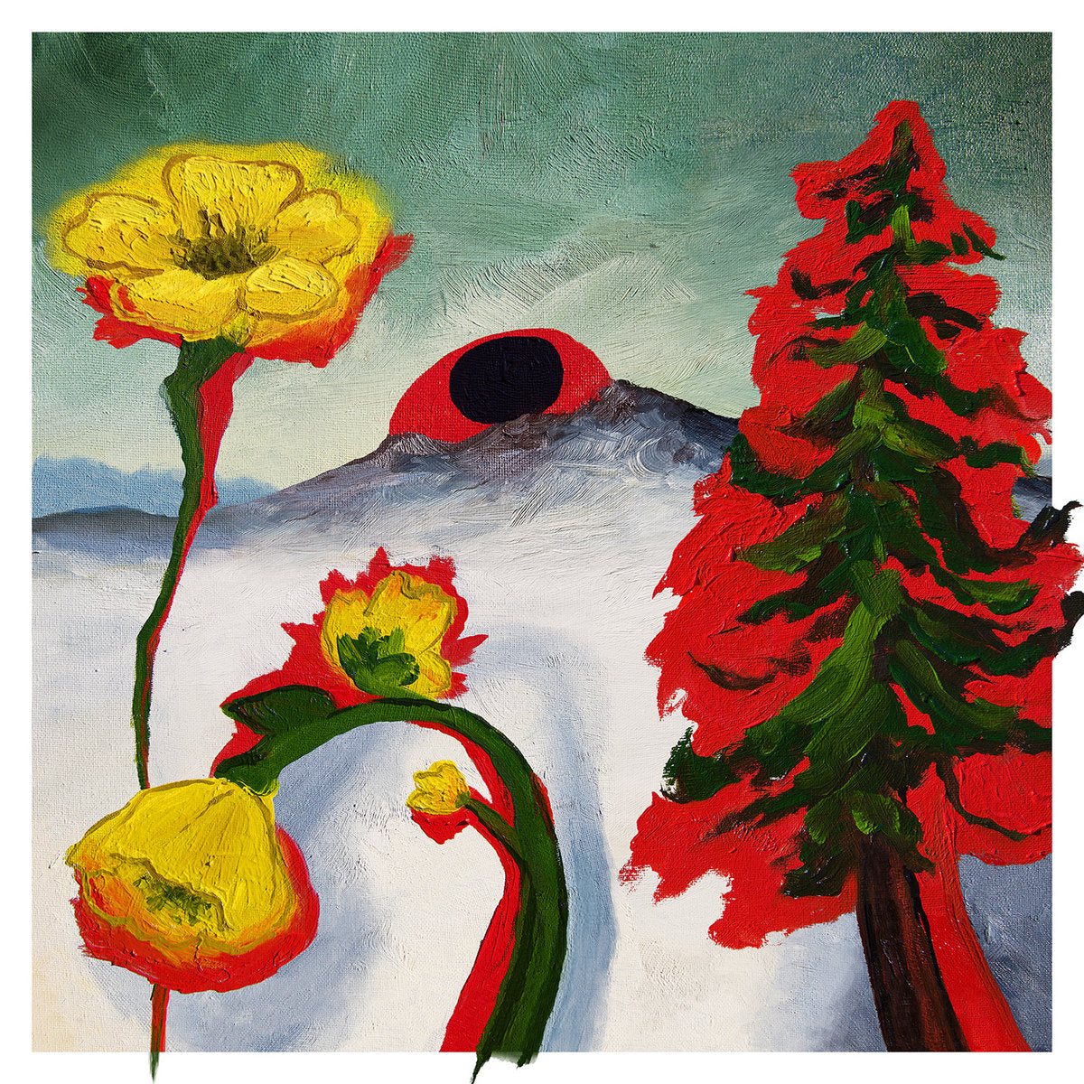 WOODS - Strange to Explain (Vinyle)