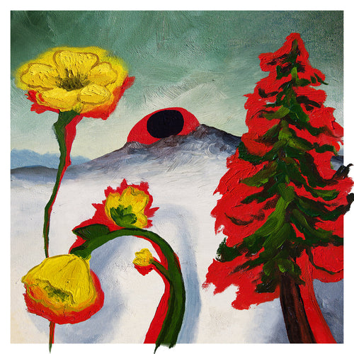 WOODS - Strange to Explain (Vinyle)